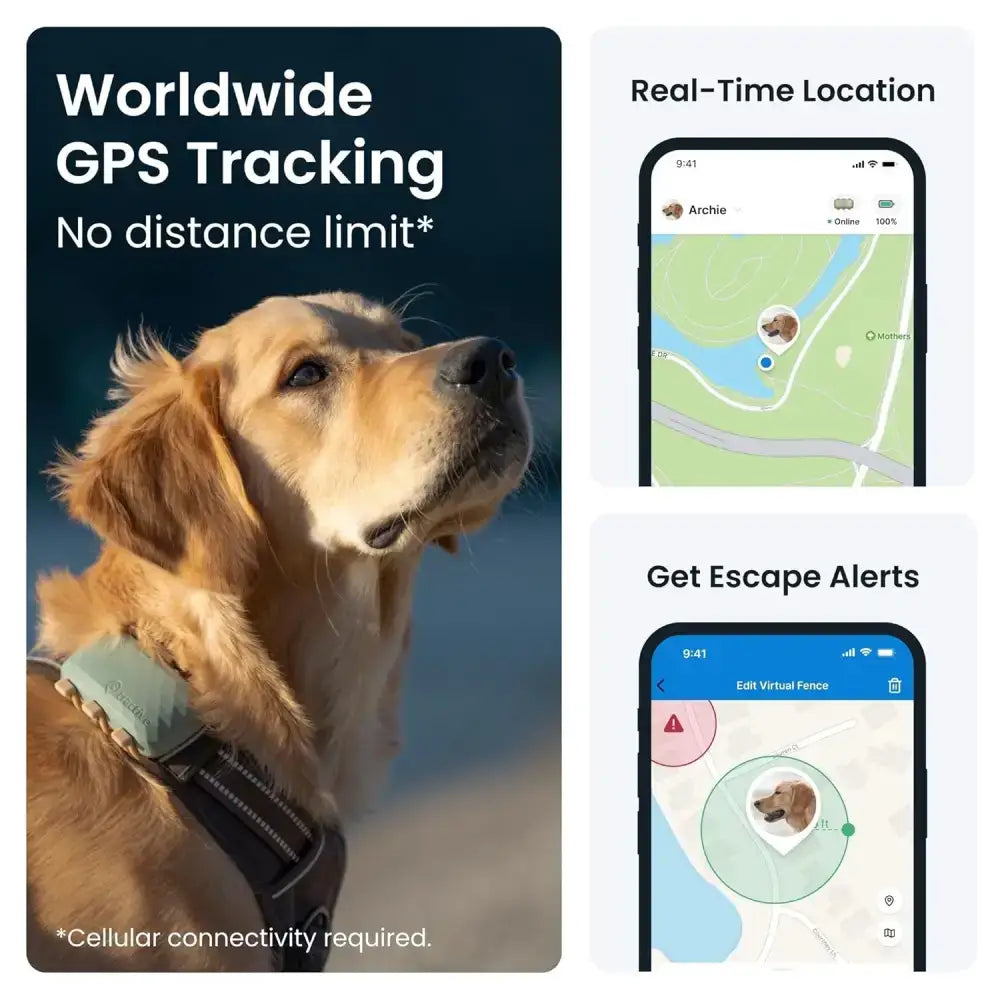 Tractive Dog XL GPS Tracker for Large Dogs, Green