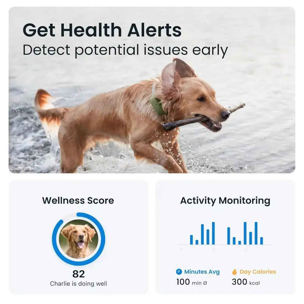 Tractive Dog XL GPS Tracker for Large Dogs, Green
