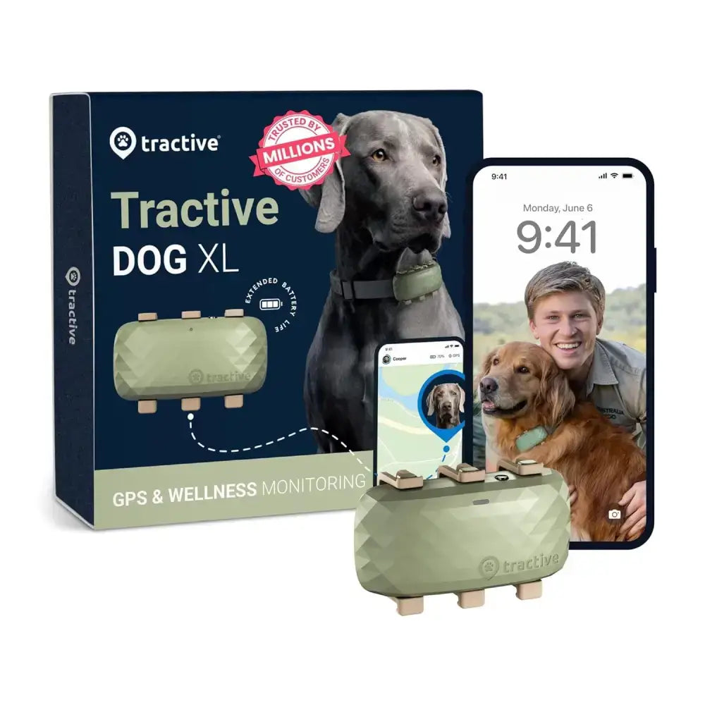 Tractive Dog XL GPS Tracker for Large Dogs, Green