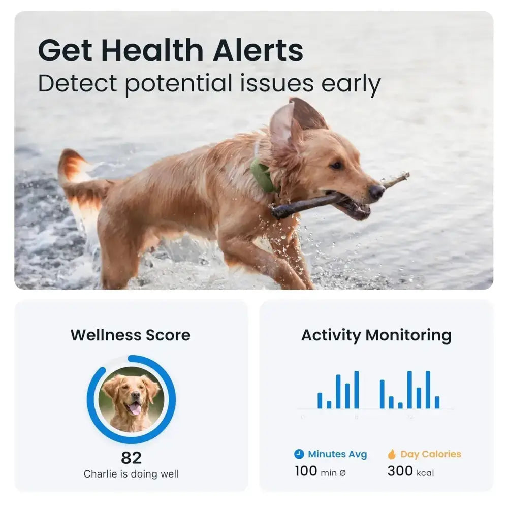 Tractive Dog XL GPS Tracker for Large Dogs, Green
