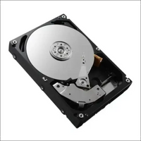 DELL 161-BBZR internal hard drive 3.5" 12 TB SAS