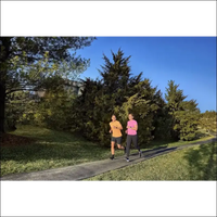 Garmin Forerunner 55 Music GPS 46mm Running Smartwatch, Lightweight, Music Storage, Advanced Training & Insights, Safety & Tracking Features, up to 14 Days Battery Life, Whitestone