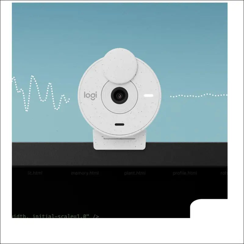 * **Logitech Brio 300: HD Webcam Streaming**
