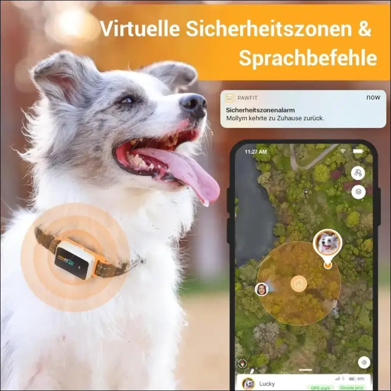 Pawfit 2 Pet GPS Tracker & Activity Monitor, Fully Waterproof GPS Tracker for Dogs and Large cats, Pet Fitness Tracker, Voice Recall, Unlimited Range