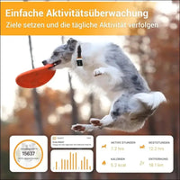 Pawfit 2 Pet GPS Tracker & Activity Monitor, Fully Waterproof GPS Tracker for Dogs and Large cats, Pet Fitness Tracker, Voice Recall, Unlimited Range