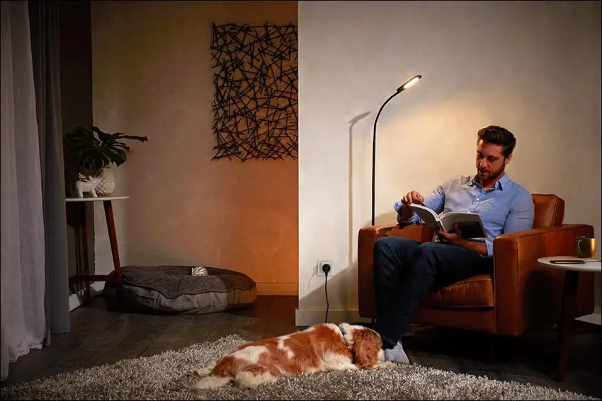 Philips Hue Smart Plug, Bluetooth & Bridge Compatible