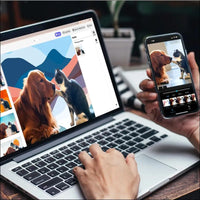 Photoshop & Premiere Elements 2025 - 3-Year Licence
