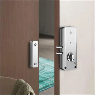 SPORTARC for Tuya Intelligent Invisible Door Lock, Burglar Door Lock, Electronic Smart Lock, App Card/APP Unlock, Invisible Door Lock (Silver)