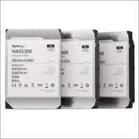 Synology -Enterprise Storage for Synology systems, 3.5" SAS Hard drive, HAS5300