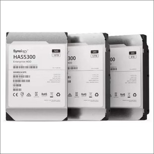 Synology -Enterprise Storage for Synology systems, 3.5" SAS Hard drive, HAS5300