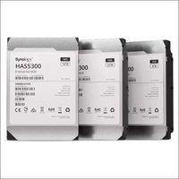 Synology -Enterprise Storage for Synology systems, 3.5" SAS Hard drive, HAS5300