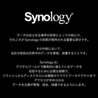 Synology HAT3300-6T [6TB 3.5" SATA 5,400 RPM/NAS Grade HDD (MTTF1 Million Hours) / 3 Year Warranty] Domestic Authorized Dealer Field Lake Product