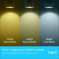 TP-Link Tapo Smart Wi-Fi Spotlight, Multicolour, Tunable White - GU10, 3.7W, No Hub Required, Compatible with Alexa and Google Home, Remote Control, Energy Class A+ (Tapo...