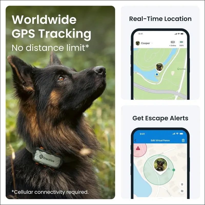 Tractive GPS Dog Tracker XL Adventure, Bite-Proof Fiberglass Casing, Up to 1 Month Battery, Market Leader, Worldwide Real-time Location Tracking, Escape Alerts, Monitor...