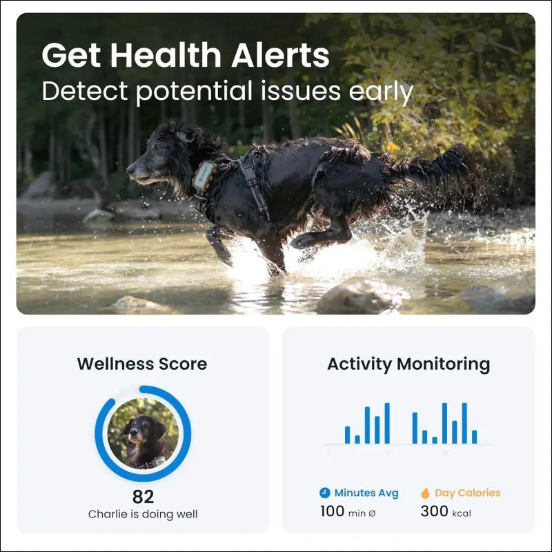 Tractive GPS Dog Tracker XL Adventure, Bite-Proof Fiberglass Casing, Up to 1 Month Battery, Market Leader, Worldwide Real-time Location Tracking, Escape Alerts, Monitor...