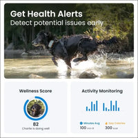 Tractive GPS Dog Tracker XL Adventure, Bite-Proof Fiberglass Casing, Up to 1 Month Battery, Market Leader, Worldwide Real-time Location Tracking, Escape Alerts, Monitor...
