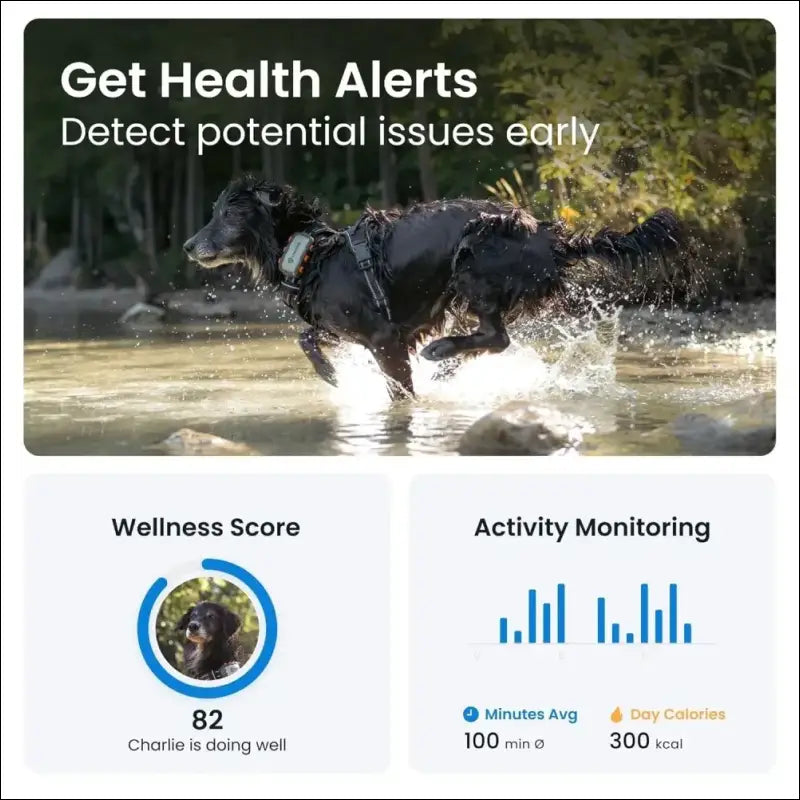 Tractive GPS Dog Tracker XL Adventure, Bite-Proof Fiberglass Casing, Up to 1 Month Battery, Market Leader, Worldwide Real-time Location Tracking, Escape Alerts, Monitor...