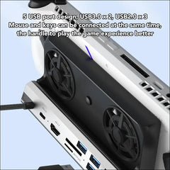 USB C Docking Station 10 in 1 for Steam Deck and Rog Ally with 4K HD Multimedia Interface, 1000Mbps Network Port, Dual Cooling Fan