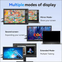 USB-C Portable Monitor - 17.3 Inch Kenowa HD 1600 * 900 Laptop Monitor with Type-C HDMI Computer Display for Win 7/8/10/11 PC Mac PS4 Xbox,Built in Speakers