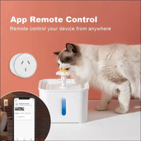WiFi Smart Plug with RGB Light, Compatible with Alexa, Google Home Assistant, No Hub Needed, App Control, Timing Function, SAA & RCM Certified (4 Pack)